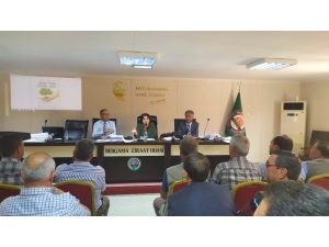 Bergamalı Çiftçilere Meyve Fidanı Desteği