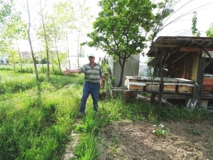 Zirai İlaçların Arı Ölümlerine Yol Açtığı İddiası