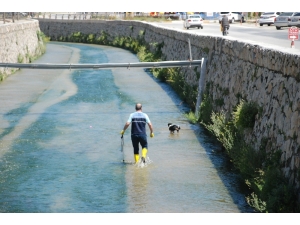 Dereye Düşen Köpeği Kurtarma Operasyonu