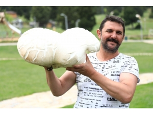 Bin 500 Rakımda 7 Kiloluk Dev Mantar Şaşırttı