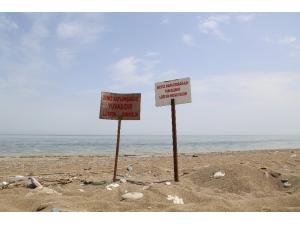 100. Yıl Tabiat Parkı’nda Yapılması Planlanan Festival İptal Edildi