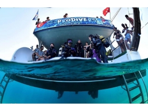 Bayramda Ayvalık’ta Dalış Rekoru Kırılacak