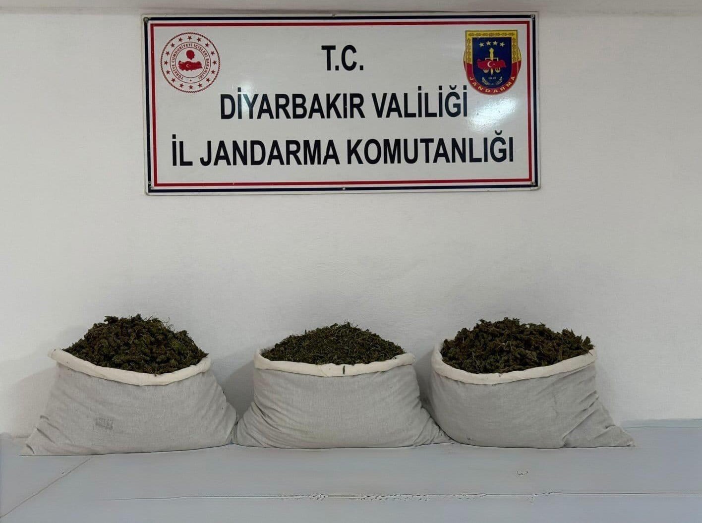 diyarbakir-da-253-bin-kok-kenevir-ve-42-kilo-esrar-ele-gecirildi