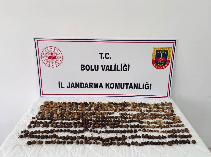 bolu-da-yabani-salep-toplayan-3-kisiye-rekor-ceza-2-milyon-97-bin-tl