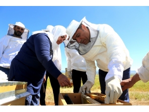 Bingöl’ün Balına Değer Katacak Proje "Ana Arı Ve Sütü Üretimi"