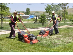 Şuhut Hors Mesire Alanında Çim Biçme Çalışmaları