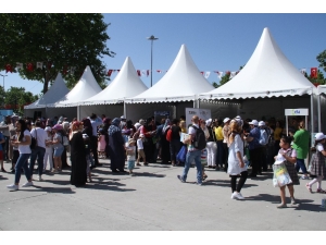 Kartal’da Dünya Çevre Günü Festivali