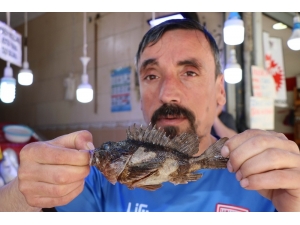 Görüntüsüne Bakan Kaçıyor, Tadan Bırakamıyor