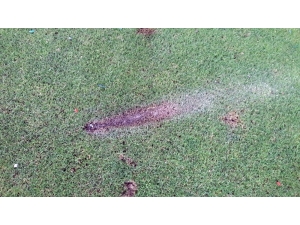 Bursaspor’un Stadyumunda 1.5 Milyon Tl’lik Zarar