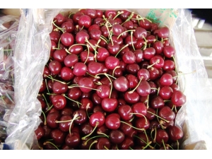 Kiraz Ve Üzümüne 12 Ay İhracat