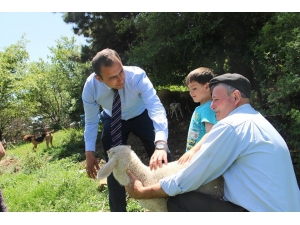 Protokol Üyeleri Yaylacıları Ziyaret Etti