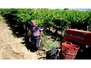Traktör Üzüm Bağında Fay Hattına Takıldı