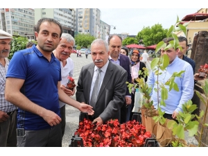 ’Sağlık Yaşam Sağlıklı Çevre İle Olur’ Etkinliği