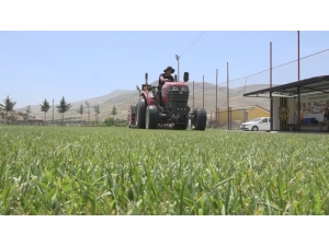 Stat Ve Antrenman Sahaları Bakıma Alındı