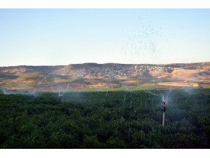 Kilisli Çiftçiye 2.9 Milyonluk Destek