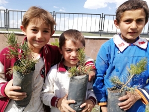 Kars’ta Üniversite Öğrencileri Fidan Dikti