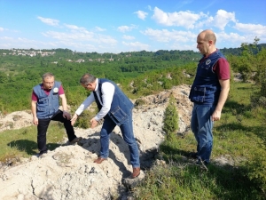 Bozuk Orman Arazisine Gelir Getirici Tür
