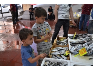 Ramazan Ayında Hamsi 15, Levrek 35, Palamut 25 Tl’den Alıcı Buluyor