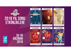 Asev, Kültür Sanat Şölenine Hazırlanıyor