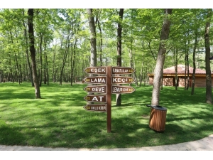 Ormanya, Bayramda Vatandaşları Ağırlamaya Devam Edecek