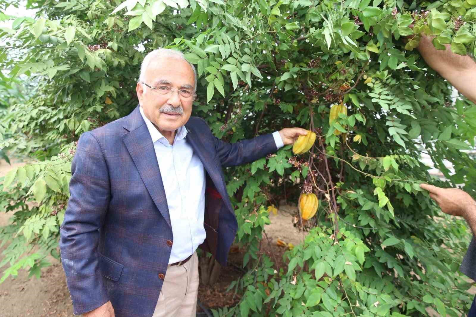 tropikal-meyveler-karadeniz-i-sevdi