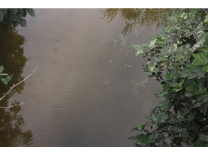 Savaşta Babasını Kaybeden Çocuk Su Birikintisinde Boğuldu