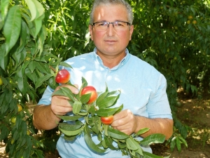 İnşaat Sektöründen Ayrıldı, Nektarin Bahçesi Kurdu