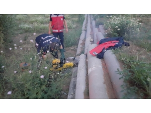 Beton Borunun İçine Sıkışan Köpeği İtfaiye Ekipleri Kurtardı