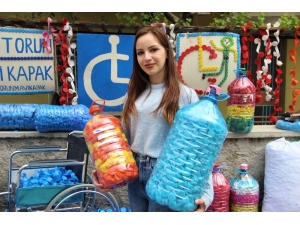 Dede Torun Çalınan Sosyal Medya Hesaplarına Kavuştu