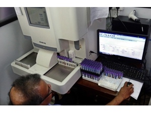 Sri Lanka’da Dang Humması Salgını: 28 Ölü