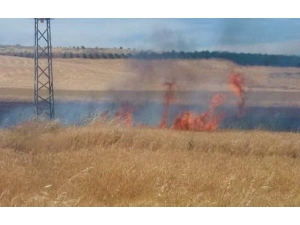 Besni’de Arpa Tarlası Yandı