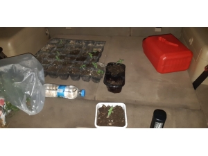 Trafik Kontrolünde Aracında Hint Keneviri Çıktı