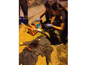 Kardeşini Öldürdü, Yengesini Ağır Yaraladı