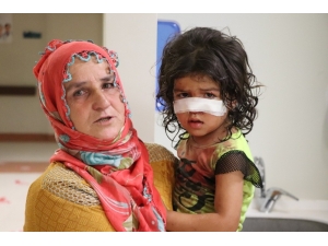 2. Kattan Düşen Çocuk Yaralandı