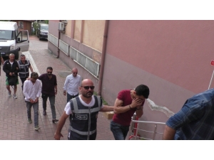 Çalıntı Kamyonetle, Hayvan Çaldılar