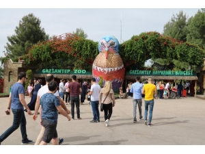 Gaziantep Hayvanat Bahçesine 3 Günde 600 Bin Ziyaretçi