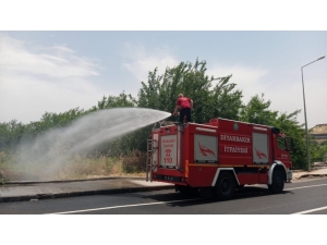 Unesco Dünya Miras Listesinde Bulunan Hevsel Bahçeleri Yanmaktan Son Anda Kurtuldu