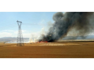 Gaziantep’te Buğday Ekili Arazide Yangın