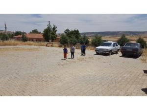 Akrebin Soktuğu Kız Çocuğu Hayatını Kaybetti