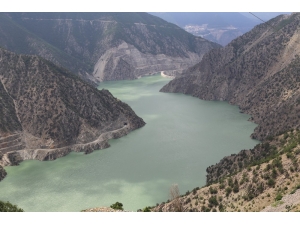 Çoruh Nehri Yeşile Büründü