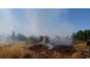 Anız Yangını Odunluğu Kül Etti