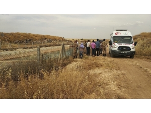 Sulama Kanalında Akıntıya Kapılan Genç Kayboldu