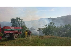 Pazarlar’da Orman Yangını