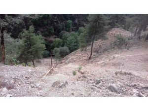 Pikniğe Gitti Uçuruma Düştü