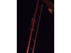 Direkte Mahsur Kalan Kediyi İtfaiye Kurtardı