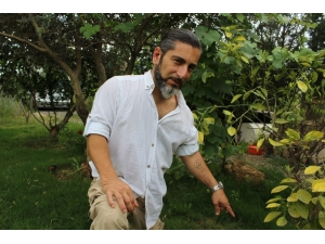 Köpekleri Zehirleyen Şüphelinin Bulunması İçin Para Ödülü Koydu