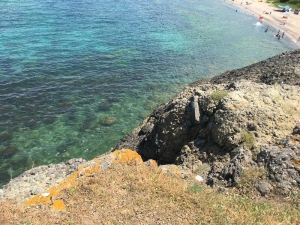 Beykoz’da Aile Pikniği Az Kalsın Faciaya Dönecekti