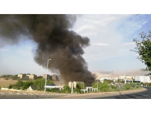 En Güzel Günleri Kabusa Döndü