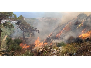 Kazdağları’nda Çöplük Yangını