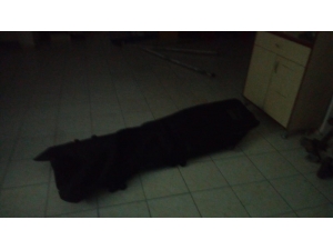 Başkent’te Sel Bilançosu: 3 Ölü